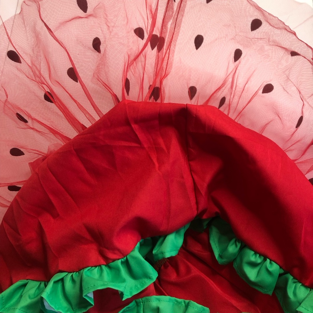 Baby Watermelon Dress - Picture 2 of 11